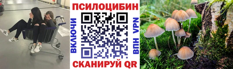 blacksprut сайт  Пучеж  Галлюциногенные грибы Magic Shrooms 